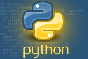 the actual symbol of the Python programming language in front of lines of code