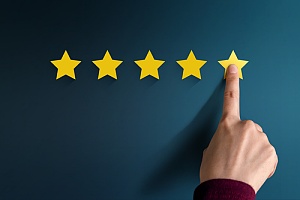 online review as a local seo technique