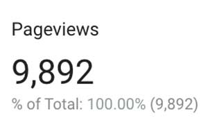 BBG pageviews during the first year of insurance marketing