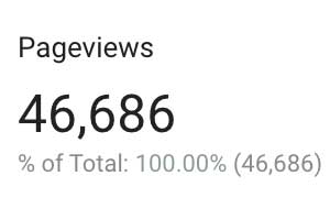 BBG pageviews during the third year of insurance marketing