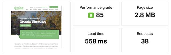 Website speed for a cannabis website