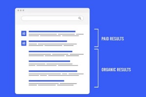 paid vs organic search result