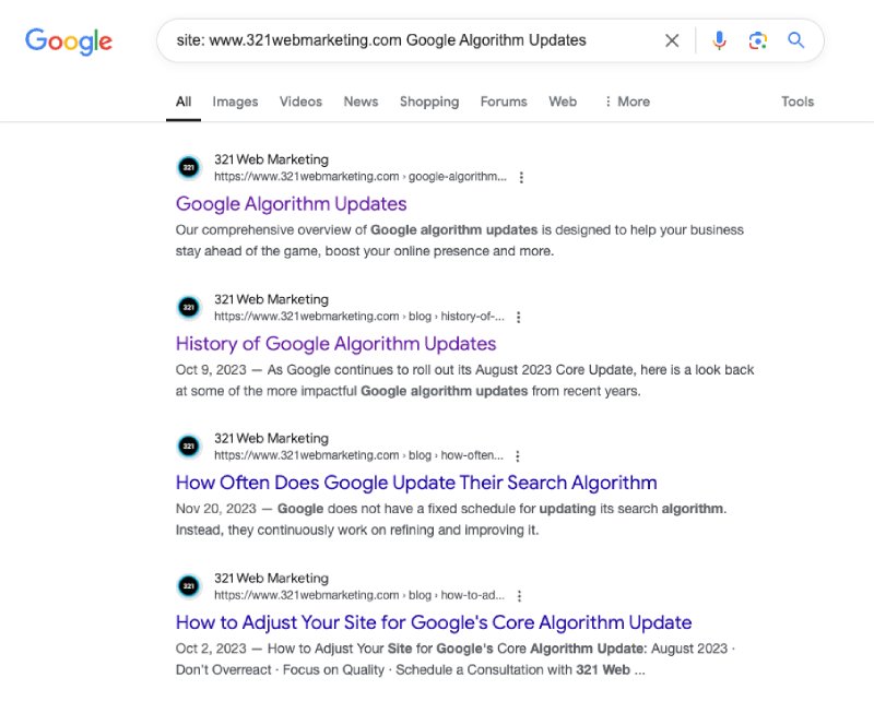 Site Search Example For Google Algorithm Updates on 321 Web Marketing Website